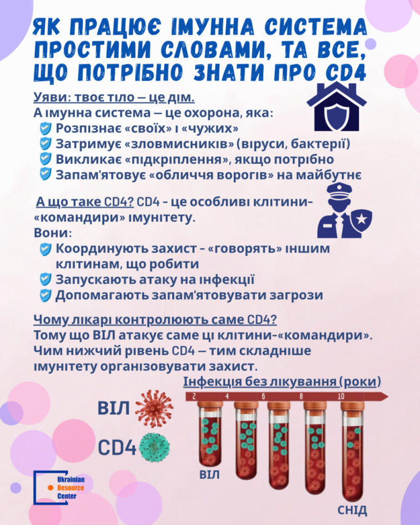 Як працює імунна система простими словами